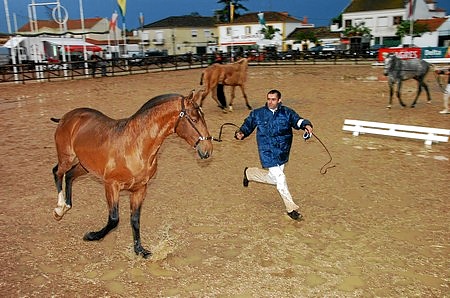 EXPOEGUA 2009 – GOLEGÃ