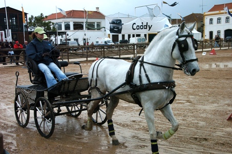 EXPOEGUA 2009 – GOLEGÃ