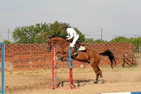 HIPISMO – FESTIVAL HIPICO QUINTA DO CABRITO 2009