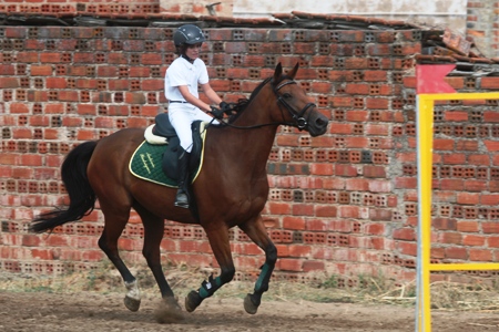 HIPISMO – FESTIVAL HIPICO QUINTA DO CABRITO 2009