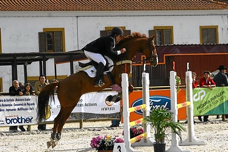 XXXIV – FEIRA NACIONAL DO CAVALO – GOLEGÃ 2009