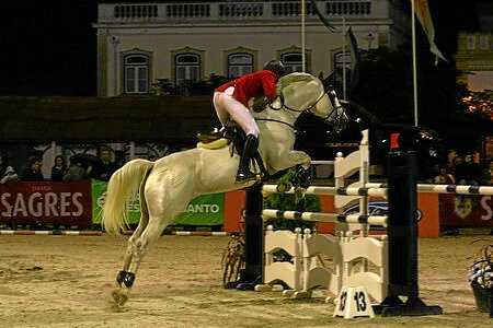 XXXIV – FEIRA NACIONAL DO CAVALO – GOLEGÃ 2009