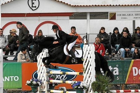 XXXIV – FEIRA NACIONAL DO CAVALO – GOLEGÃ 2009