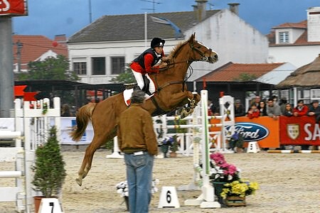 XXXIV – FEIRA NACIONAL DO CAVALO – GOLEGÃ 2009
