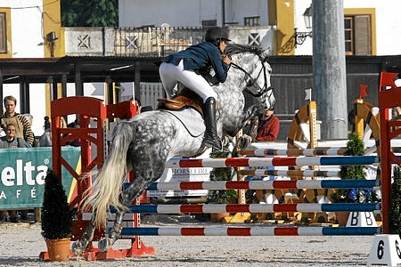 XXXIV – FEIRA NACIONAL DO CAVALO – GOLEGÃ 2009