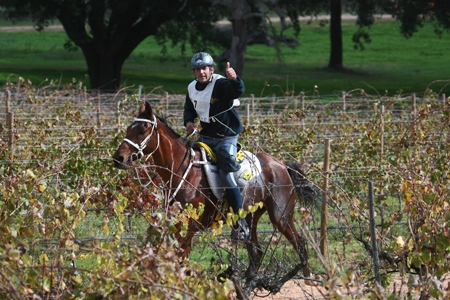 XXXIV – FEIRA NACIONAL DO CAVALO – GOLEGÃ 2009