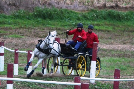 XXXIV – FEIRA NACIONAL DO CAVALO – GOLEGÃ 2009
