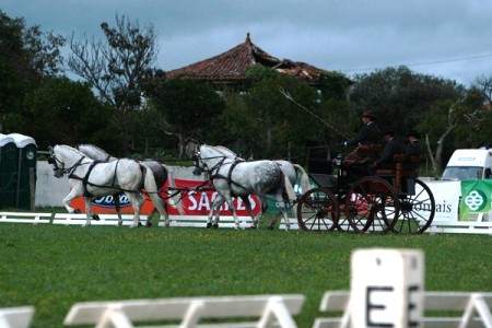 XXXIV – FEIRA NACIONAL DO CAVALO – GOLEGÃ 2009