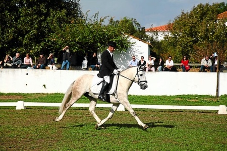 XXXIV – FEIRA NACIONAL DO CAVALO – GOLEGÃ 2009