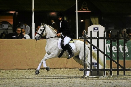 XXXIV – FEIRA NACIONAL DO CAVALO – GOLEGÃ 2009