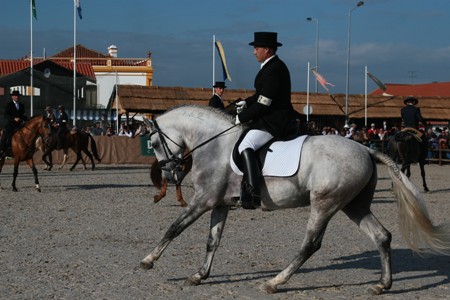 XXXIV – FEIRA NACIONAL DO CAVALO – GOLEGÃ 2009