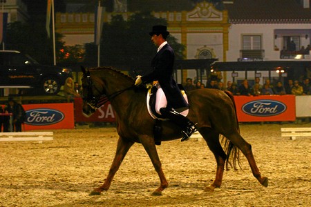 XXXIV – FEIRA NACIONAL DO CAVALO – GOLEGÃ 2009