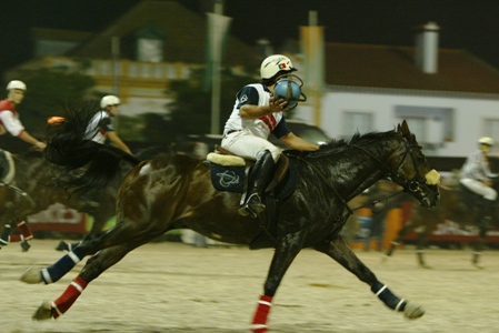 XXXIV – FEIRA NACIONAL DO CAVALO – GOLEGÃ 2009