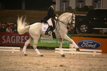 XXXIV – FEIRA NACIONAL DO CAVALO – GOLEGÃ 2009