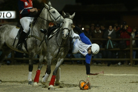 XXXIV – FEIRA NACIONAL DO CAVALO – GOLEGÃ 2009