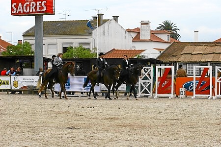 13-11-09 – SEXTA FEIRAAP DE CAVALOSUM CAVALO A VER  UM CAVALO A ADQUIRIR(JOSE BAPTITA)