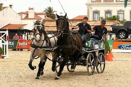 XXXIV – FEIRA NACIONAL DO CAVALO – GOLEGÃ 2009