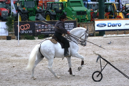 FEIRA ANUAL DA TROFA 2010