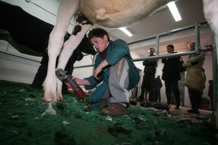 05-03-2010CONC. PREPARADORES E MANEJADORESDA RAÇA HOLSTEIN FRÍSIA(FERNANDO CASTANHO)