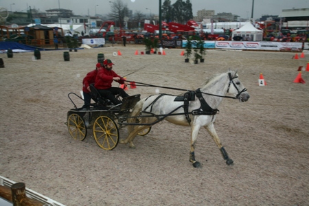 FEIRA ANUAL DA TROFA 2010