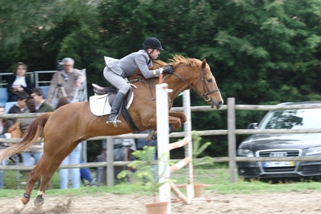 HIPISMO – ROTA DO TEJO 2010 1ª PROVA CENTRO EQUESTRE DE ABRANTES