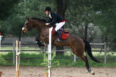 HIPISMO – ROTA DO TEJO 2010 1ª PROVA CENTRO EQUESTRE DE ABRANTES