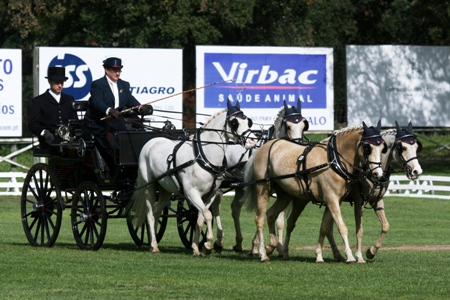 ATRELAGEM – COPA IBERICA DE ATRELAGEM 2010 – COMPANHIA DAS LEZIRIAS