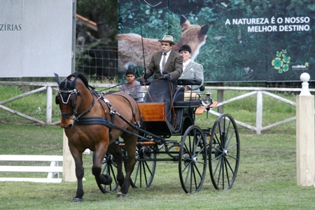 ATRELAGEM – COPA IBERICA DE ATRELAGEM 2010 – COMPANHIA DAS LEZIRIAS