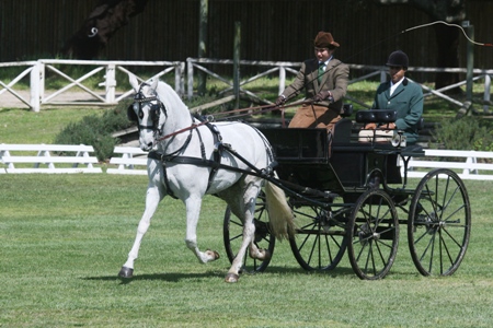 ATRELAGEM – COPA IBERICA DE ATRELAGEM 2010 – COMPANHIA DAS LEZIRIAS