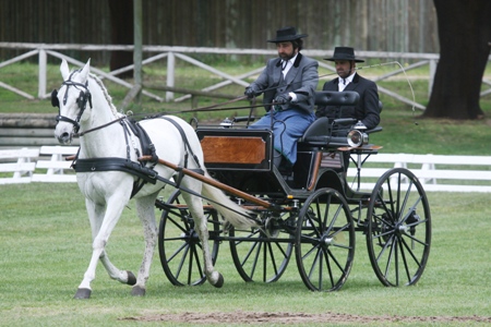 ATRELAGEM – COPA IBERICA DE ATRELAGEM 2010 – COMPANHIA DAS LEZIRIAS
