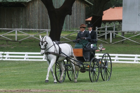 ATRELAGEM – COPA IBERICA DE ATRELAGEM 2010 – COMPANHIA DAS LEZIRIAS