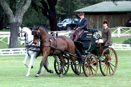 ATRELAGEM – COPA IBERICA DE ATRELAGEM 2010 – COMPANHIA DAS LEZIRIAS