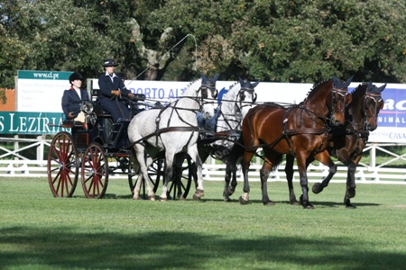 ATRELAGEM – COPA IBERICA DE ATRELAGEM 2010 – COMPANHIA DAS LEZIRIAS