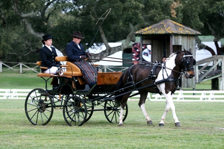 ATRELAGEM – COPA IBERICA DE ATRELAGEM 2010 – COMPANHIA DAS LEZIRIAS