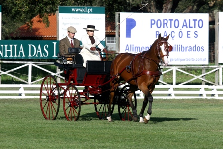 ATRELAGEM – COPA IBERICA DE ATRELAGEM 2010 – COMPANHIA DAS LEZIRIAS