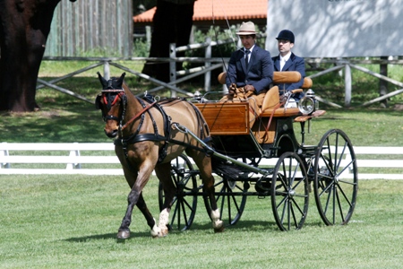 ATRELAGEM – COPA IBERICA DE ATRELAGEM 2010 – COMPANHIA DAS LEZIRIAS