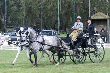 ATRELAGEM – COPA IBERICA DE ATRELAGEM 2010 – COMPANHIA DAS LEZIRIAS