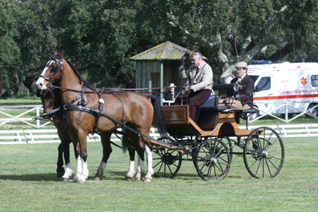 ATRELAGEM – COPA IBERICA DE ATRELAGEM 2010 – COMPANHIA DAS LEZIRIAS