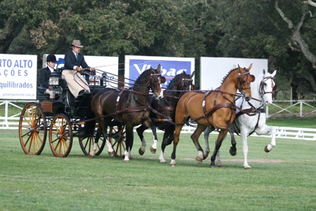 ATRELAGEM – COPA IBERICA DE ATRELAGEM 2010 – COMPANHIA DAS LEZIRIAS