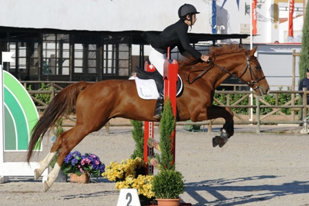 XXXV – FEIRA NACIONAL DO CAVALO – GOLEGÃ 2010
