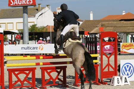 XXXV – FEIRA NACIONAL DO CAVALO – GOLEGÃ 2010