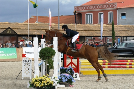 XXXV – FEIRA NACIONAL DO CAVALO – GOLEGÃ 2010