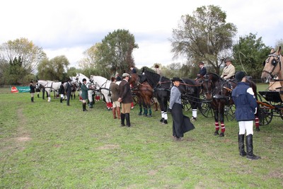 XXXV – FEIRA NACIONAL DO CAVALO – GOLEGÃ 2010