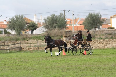 XXXV – FEIRA NACIONAL DO CAVALO – GOLEGÃ 2010