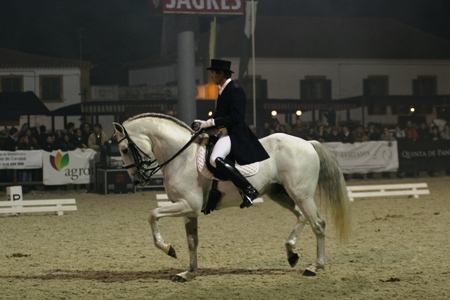 XXXV – FEIRA NACIONAL DO CAVALO – GOLEGÃ 2010
