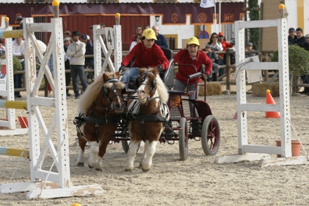 XXXV – FEIRA NACIONAL DO CAVALO – GOLEGÃ 2010