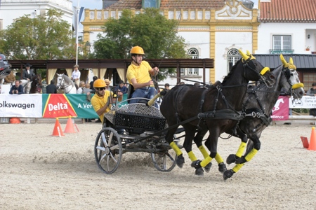 XXXV – FEIRA NACIONAL DO CAVALO – GOLEGÃ 2010