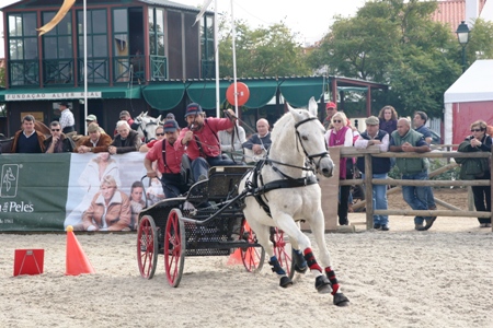 XXXV – FEIRA NACIONAL DO CAVALO – GOLEGÃ 2010