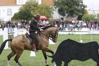 XXXV – FEIRA NACIONAL DO CAVALO – GOLEGÃ 2010