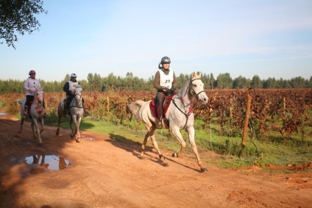 XXXV – FEIRA NACIONAL DO CAVALO – GOLEGÃ 2010
